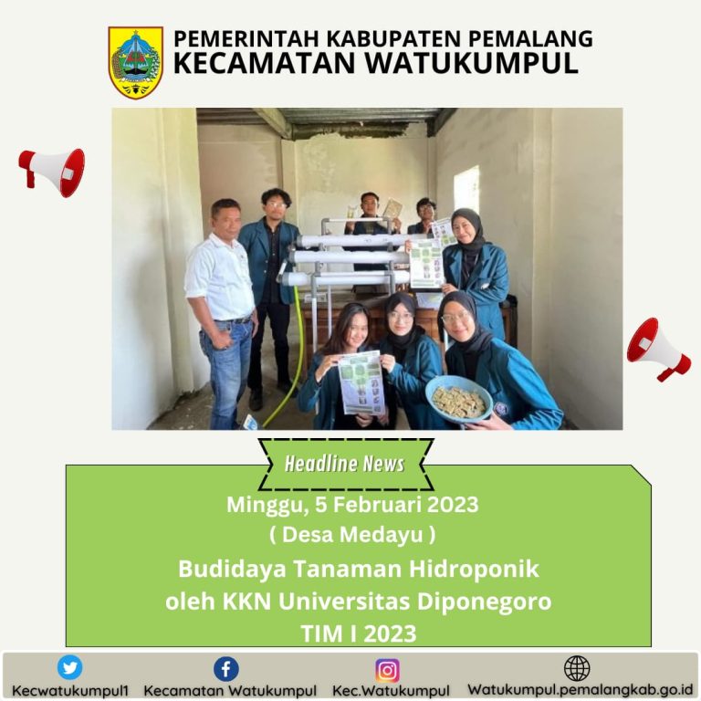 Budidaya Tanaman Hidroponik Di Desa Medayu oleh KKN UNDIP